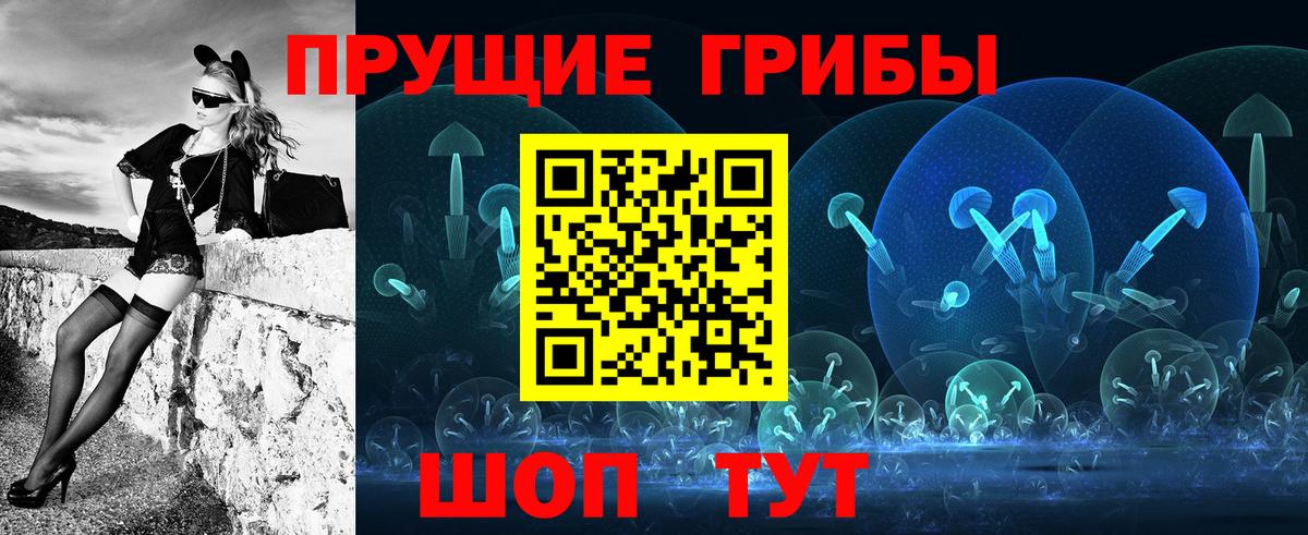 Галлюциногенные грибы Cubensis  Псилоцибиновые грибы Psilocybine cubensis  Шатура  Вход с VPN 
