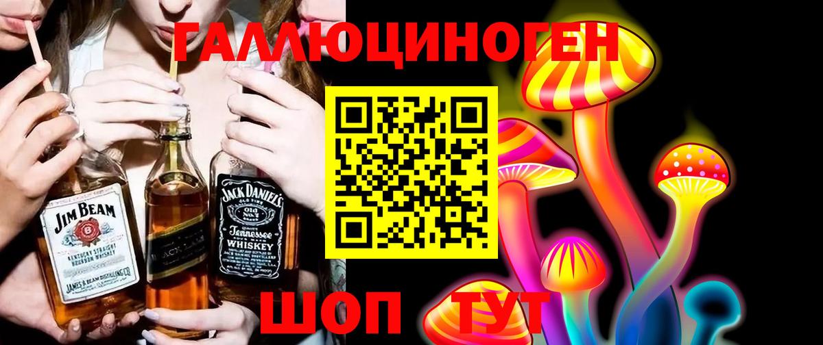 Галлюциногенные грибы Psilocybine cubensis Шатура